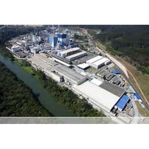 FIBRIA CELULOSE - SP